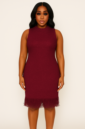 Plum Red Textured Fringe Hem Dress